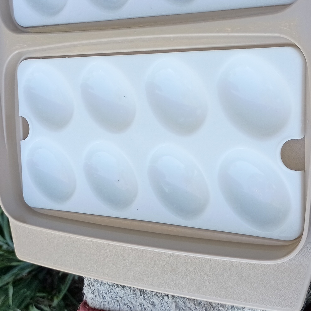 Vintage Tupperware 16 ct deviled eggs container with lid. Some discoloration - Picture 2 of 7